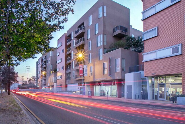 Photo - Muse Apartments