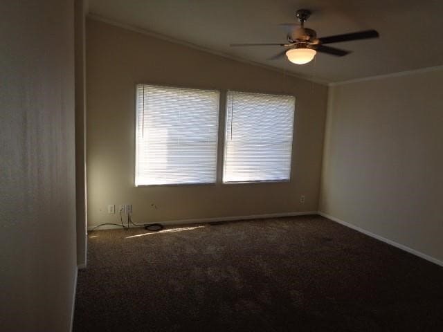 Photo - 10131 Berrybriar Ln