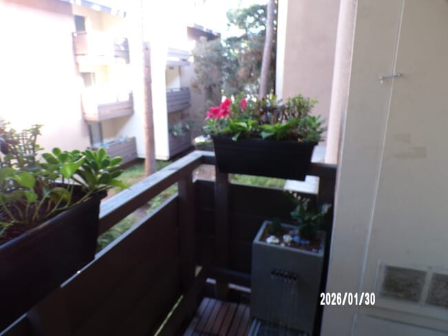 Photo - 1621 Hotel Cir S Unidad E-128