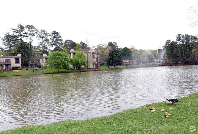 Grounds
