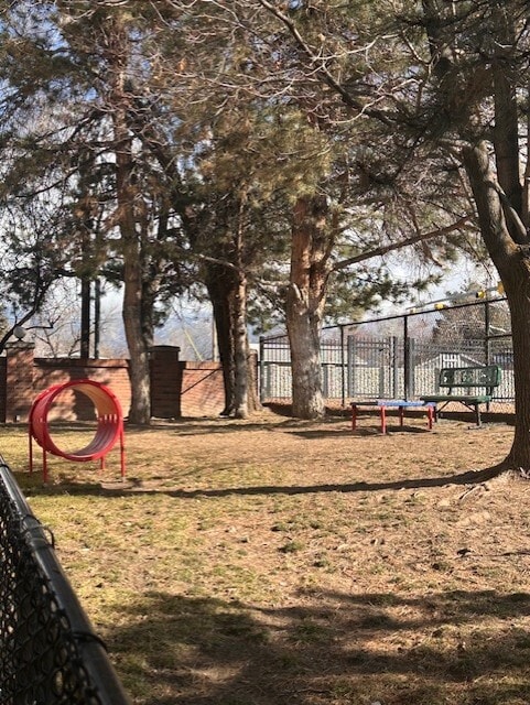 Bark Park