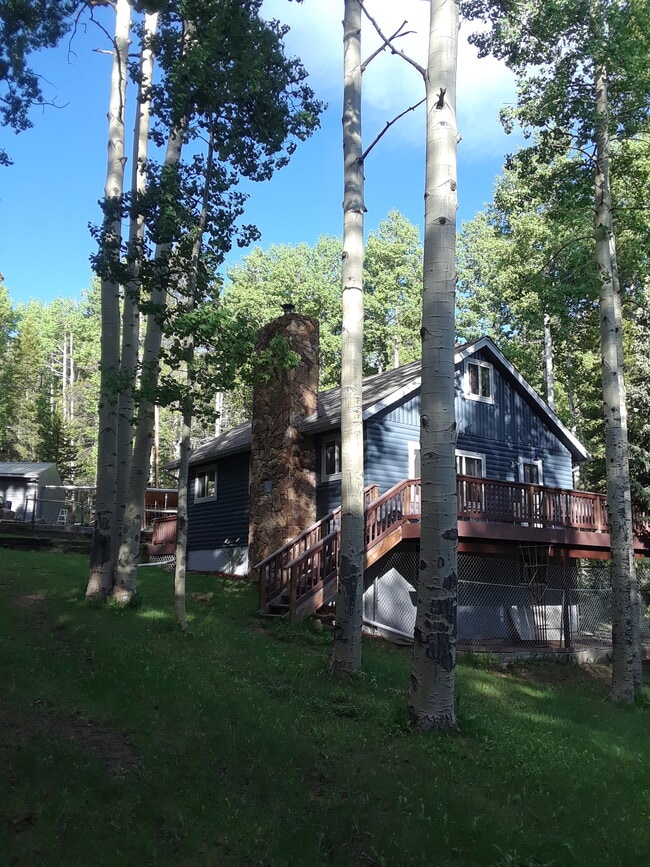 Apartment is on bottom floor of this house. - 97 Pawnee Trl Unit Bttm of Mtn Home Pending