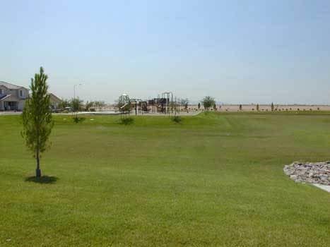 Photo - Beautiful 3 bed, 2 bath home in convenient El Mirage neighborhood!