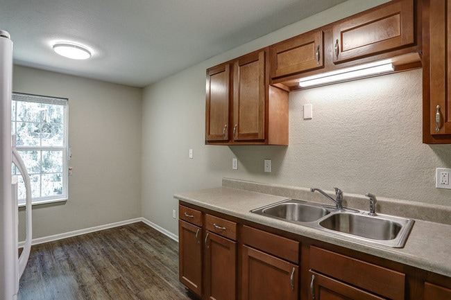 Photo - Enchanted Glen