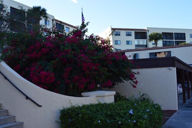 Photo - 115 Indian River Dr Unit 231