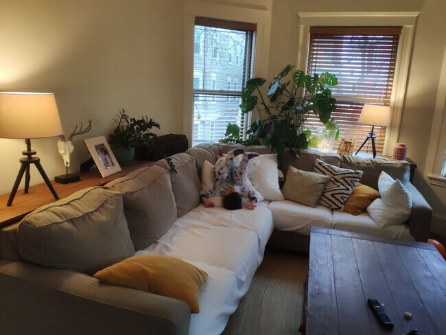 Living room - 74 Highland Ave Unit #2