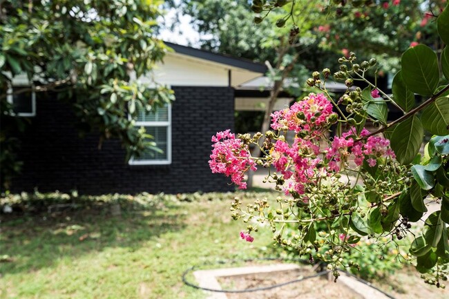 Photo - 3002 Brinwood Ave