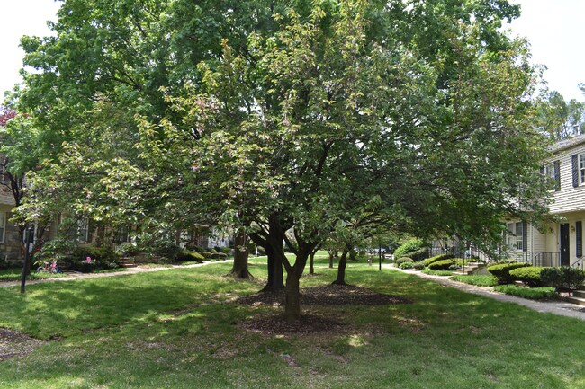 Photo - 7001 Roslyn Ave