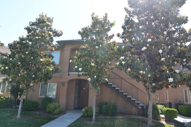 Building Photo - 2860 N Terrace St Unit 2864 Rental