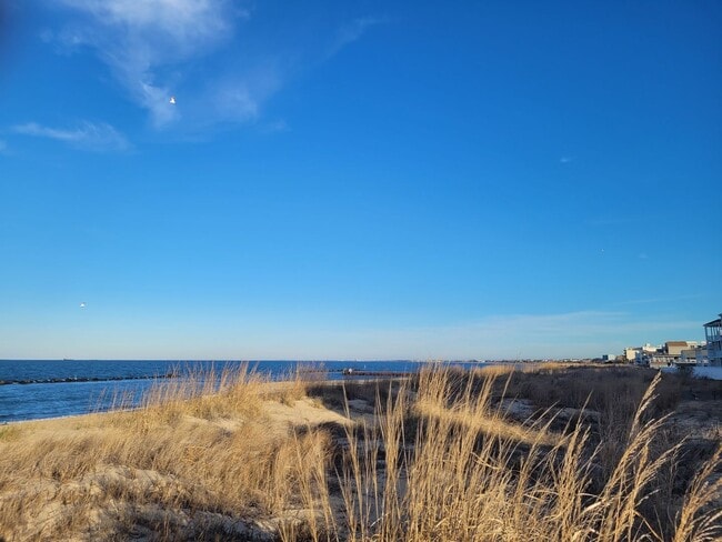 Building Photo - 2 Bedroom, 2.5 Bath Condo with with Ocean ...