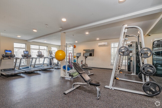 24-Hour Fitness Studio with Cardio & Free Weights