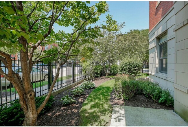 Photo - 1407 S Halsted St