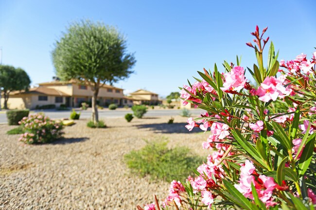 Thunderbird Townhomes
