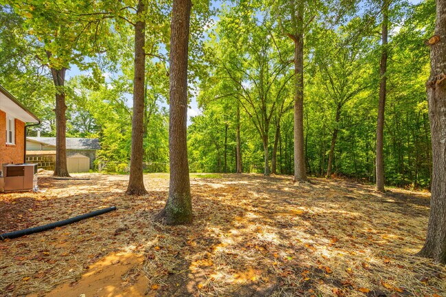 Photo - Renovated Brick Ranch with Nature Views + ...