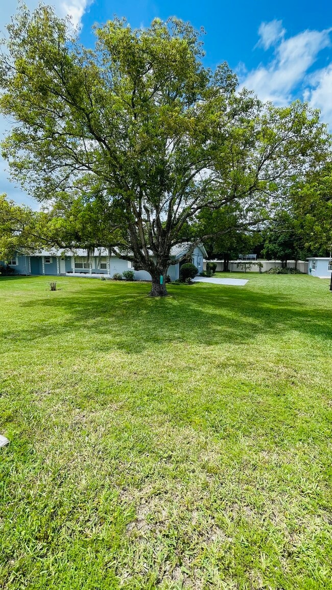 Front Yard