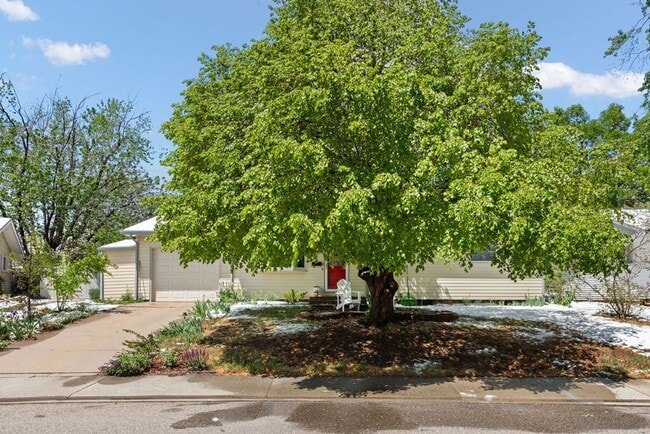Photo - Cute 3 Bedroom Ranch in Loveland