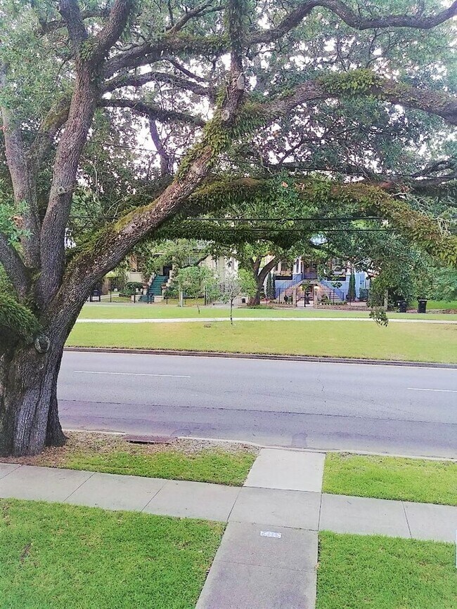 Photo - Spacious New Orleans Rental in a Prime Napoleon Ave Location