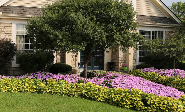 Photo - Northwest Woods