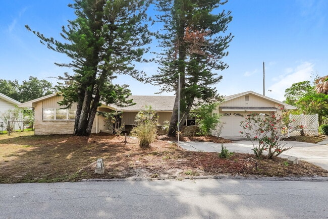 Photo - 144 Shelley Dr Casa