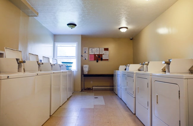 Photo - Maple Leaf Apartments