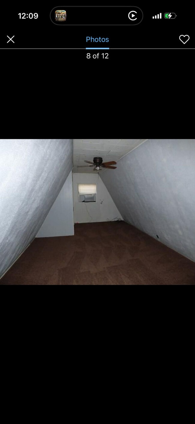 Photo - 321 Co Rd 221