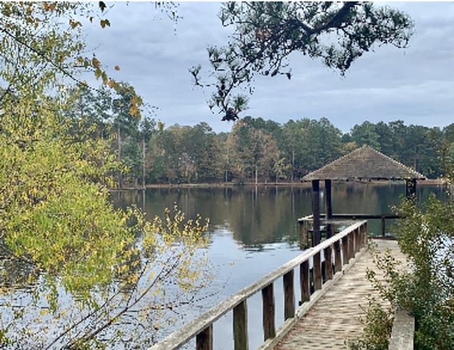 Photo - SERENE WOODLAND ESCAPE IN HARBISON