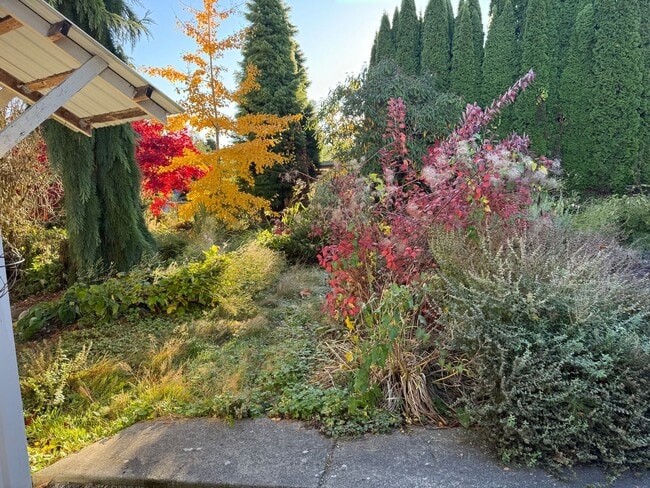 Photo - One bedroom in Bow