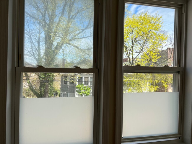 Living Room Front Window View - 144 Daniel Low Ter Unit 2R