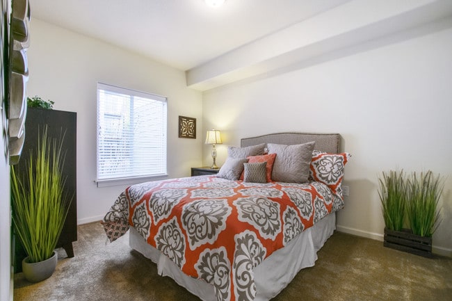 Photo - The Terrace at River Oaks 55+ Community