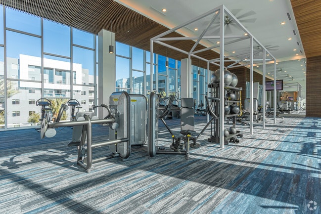 Gimnasio