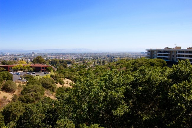 View from some of the apartments. - Oakview Apartments
