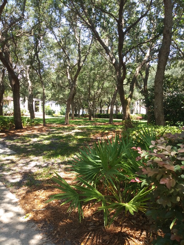 Photo - 1854 Carnation St