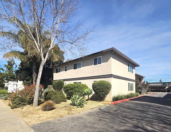 Updated Top Floor 2 Bedroom/1 Bathroom Apa... - Updated Top Floor 2 Bedroom/1 Bathroom Apa... Apartment Unit 3087