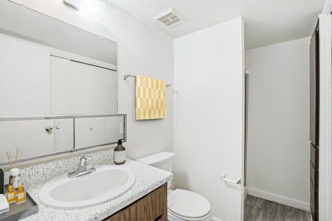 Photo - Aster on University