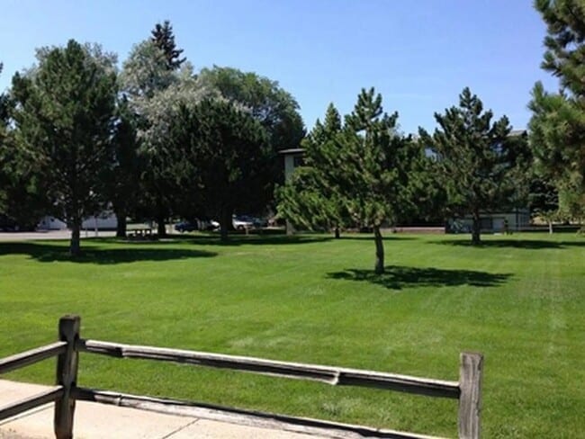 Twin Cedars