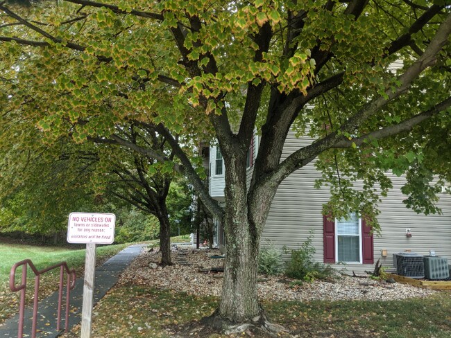 Photo - 106 Timberlake Terrace Unit #1