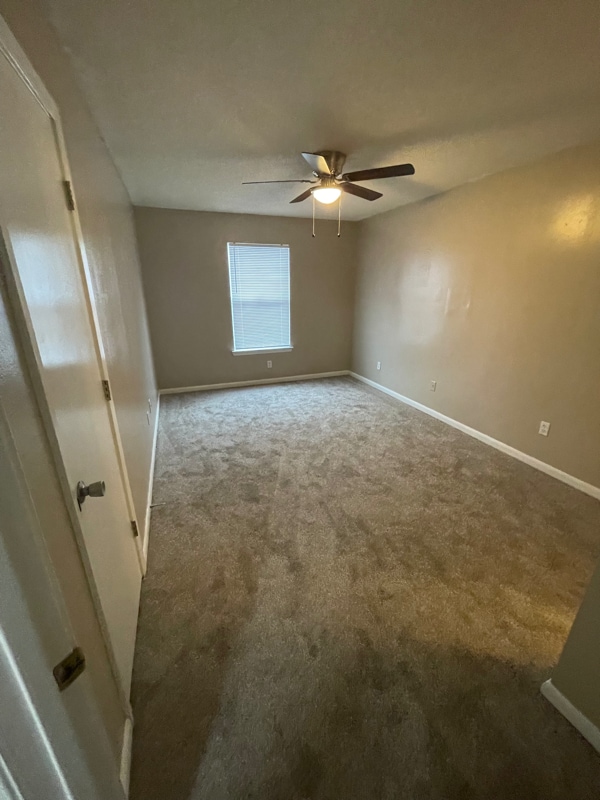 Photo - 314 Olympia Ct