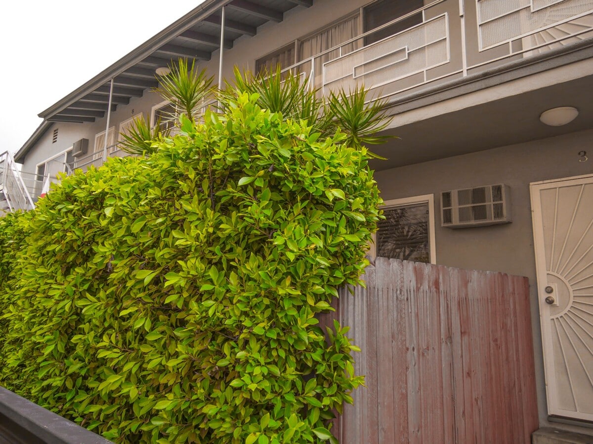 Photo - 1215 Granville Ave