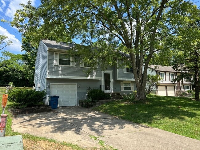 Remodeled 3 Bedroom House in Mason - Remodeled 3 Bedroom House in Mason