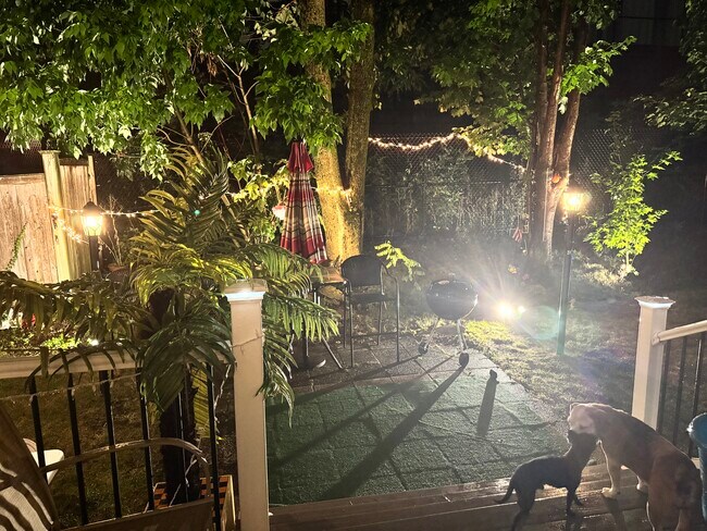 Backyard