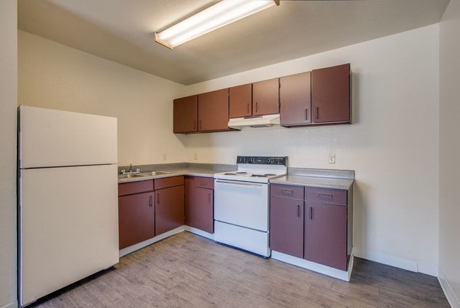 Photo - Redwood Gardens