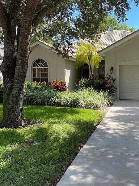 Photo - 6429 Autumn Woods Blvd