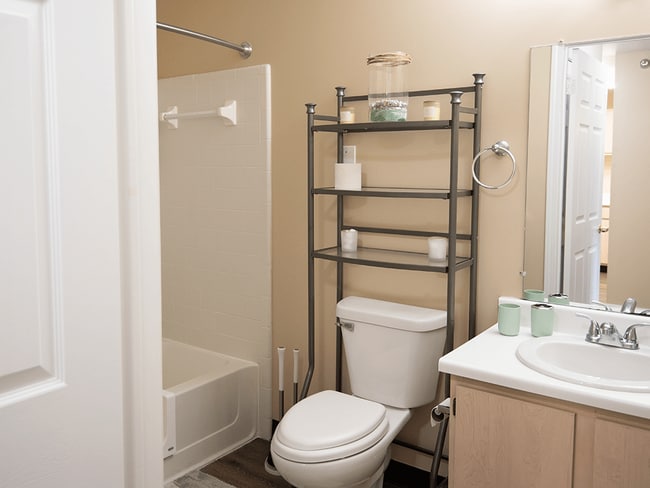 Shower or Bath, it's up to You