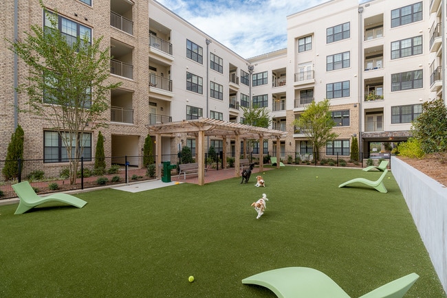 Over-sized dog park with turf! - Berkshire Ninth Street