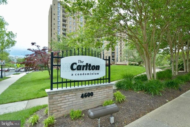 Photo - Bright 1BR 1B Condo | All Utilities Included | Arlington