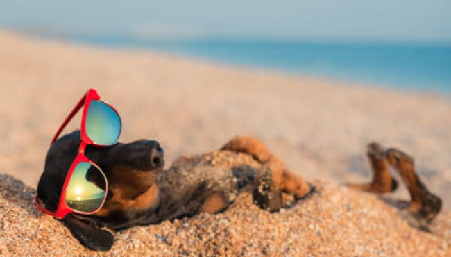 Building Photo - Beachwalk Lifestyle Starts Here!