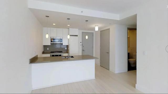 1 bedroom in Long Island City NY 11102 - 1 bedroom in Long Island City NY 11102 Condo Unit 304