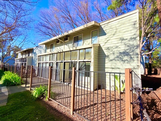 Photo - Le Tournesol