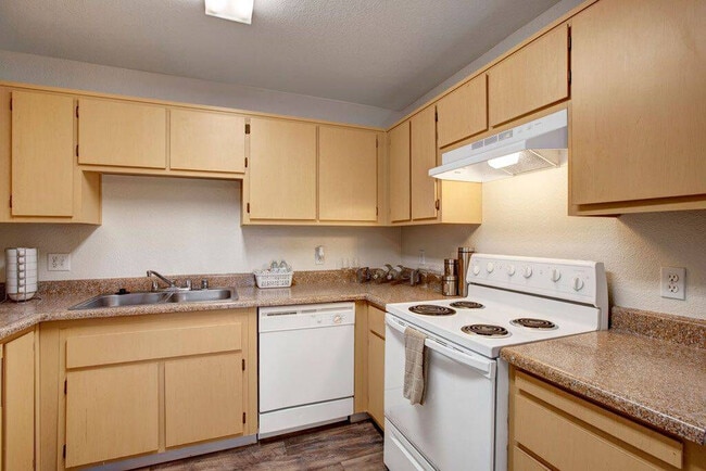 Photo - Morningside Creek