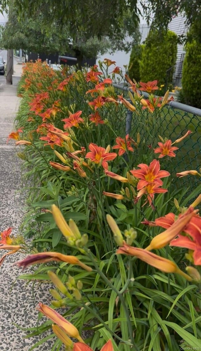 Photo - 7 White Plains Ave